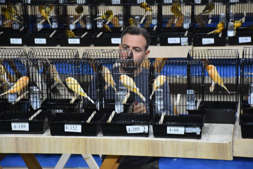 564582215 824849443239416 2386117615786496396 n - Marmara Bölge Gazetesi