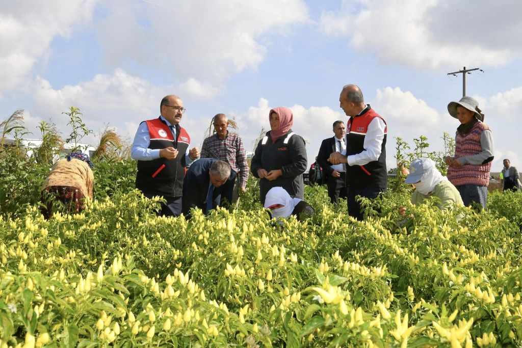 Kadın Çiftçiler Tarlada 565128183 1218123827025144 5366329365564699813 n - Marmara Bölge Gazetesi