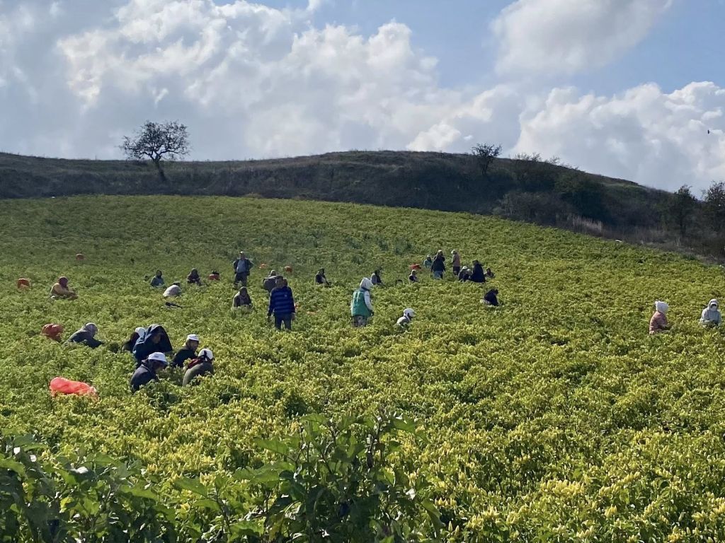 Balıkesir’de 15 Ekim Dünya Kadın Çiftçiler Günü kapsamında düzenlenen etkinlikte