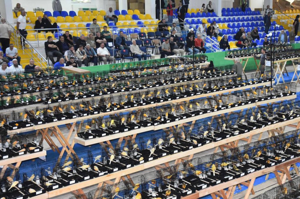 565745538 824849686572725 1425075759218869135 n - Marmara Bölge Gazetesi