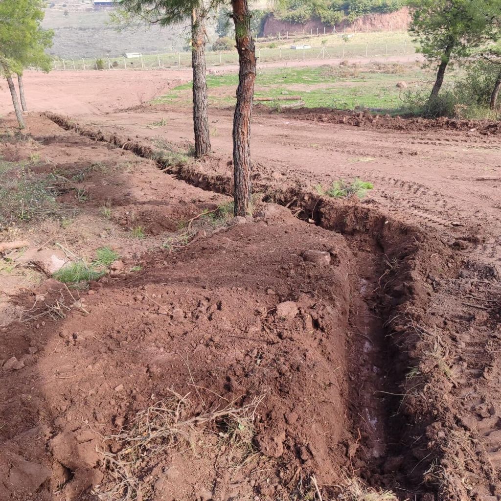 565982803 17913770838214446 6688707825041070630 n - Marmara Bölge Gazetesi