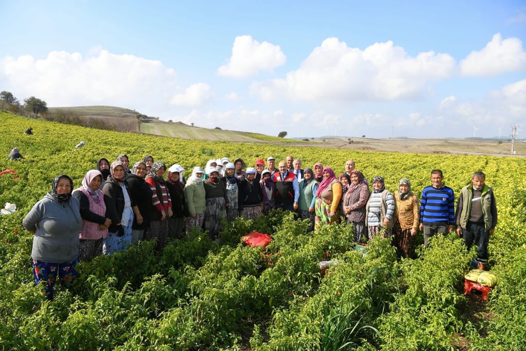 Balıkesir Valisi İsmail Ustaoğlu, Karesi’nin Büyükpınar Mahallesi’nde biber hasadı yapan