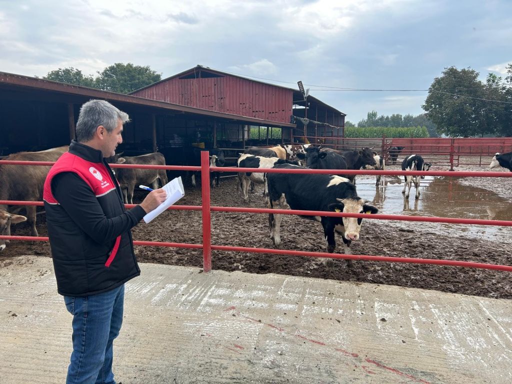 568132684 1247951484033206 9057824196527235164 n - Marmara Bölge Gazetesi