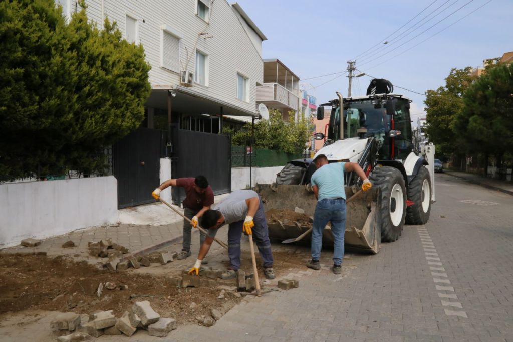Edremit'te Yeni Bir Rekor Kırıldı! 569050192 828009539590073 3751953239578005247 n - Marmara Bölge Gazetesi
