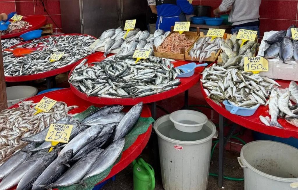 Balıkesir İl Tarım ve Orman Müdürlüğü’ne bağlı ekipler, Havran’da su