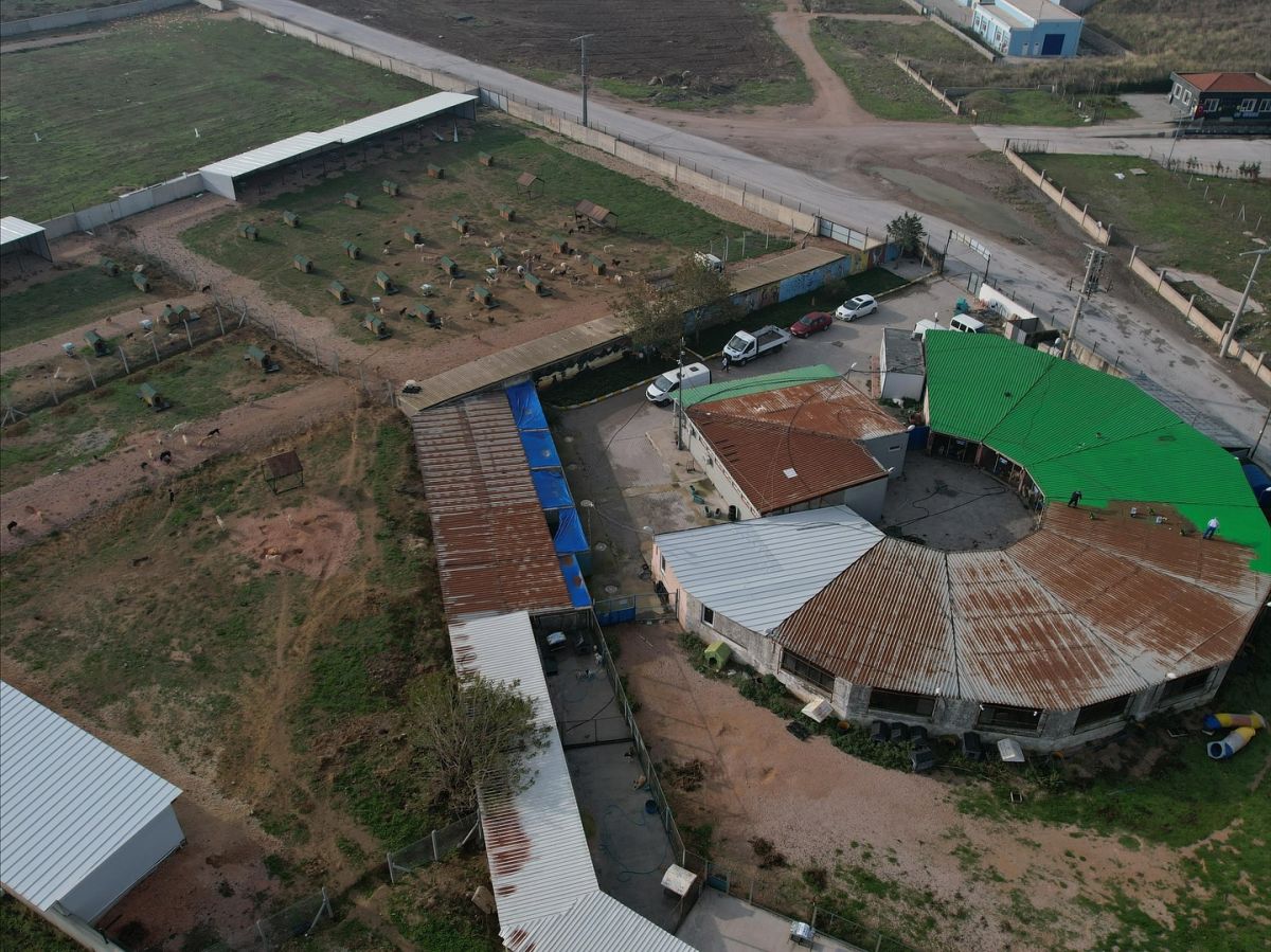 Bandırma’da Sokak Hayvanları Alarmı! 572719342 18333632866225400 8954791774538221383 n - Marmara Bölge Gazetesi