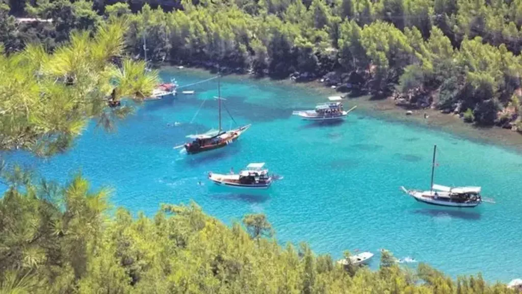 60accbba17aca91240269768 - Marmara Bölge Gazetesi