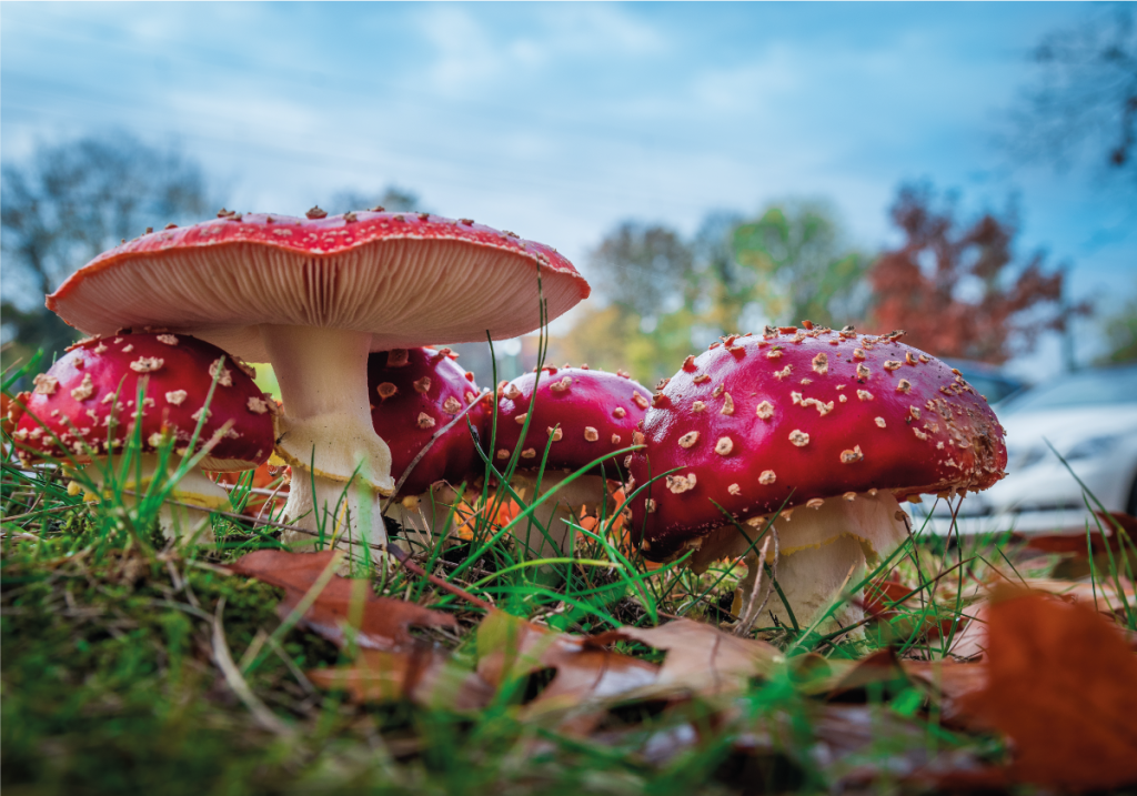 69358 - Marmara Bölge Gazetesi