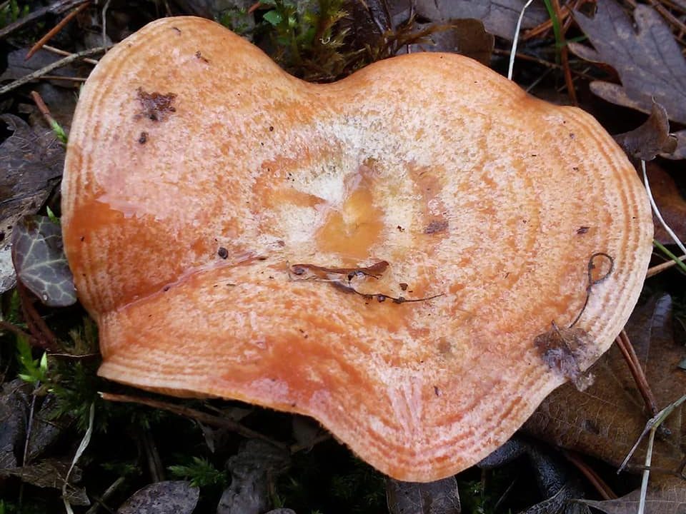 94247431 3764370030302658 2052244779730731008 n edited - Marmara Bölge Gazetesi