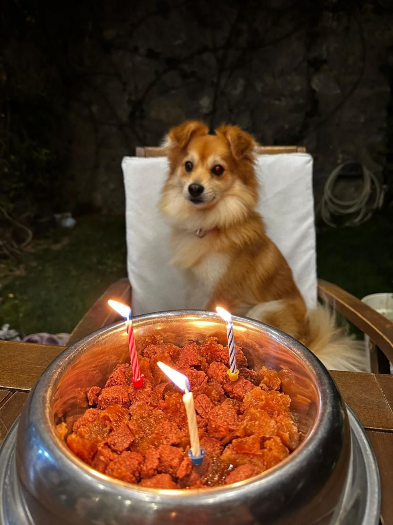 AW550075 01 - Marmara Bölge Gazetesi