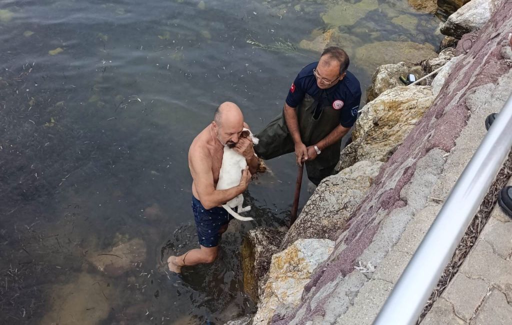 Balıkesir’in Burhaniye ilçesinde, sahil kenarındaki kayalıklara sıkışan köpek için itfaiye