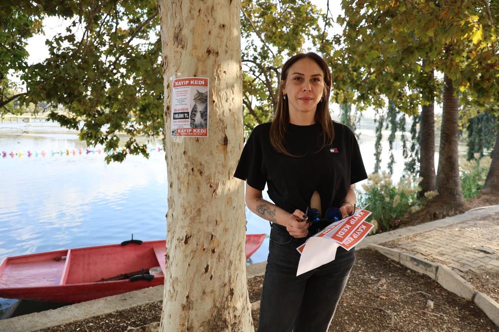 Kedisini Bulana 100 bin Lira! AW554967 02 - Marmara Bölge Gazetesi