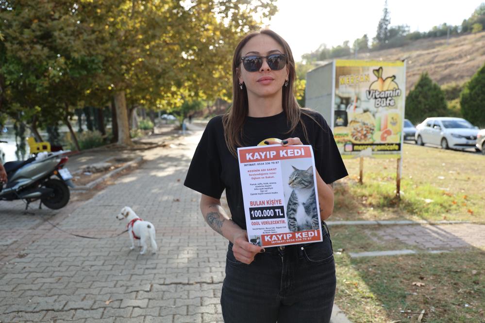 Kedisini Bulana 100 bin Lira! AW554967 06 - Marmara Bölge Gazetesi