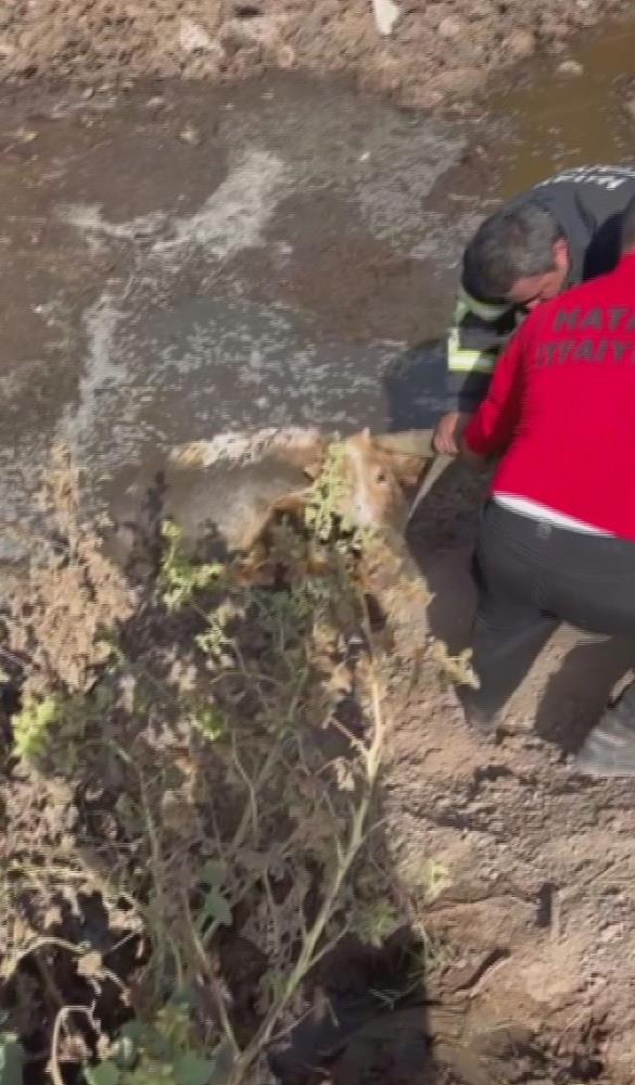 Dere Yatağında Kabus! AW555686 02 - Marmara Bölge Gazetesi