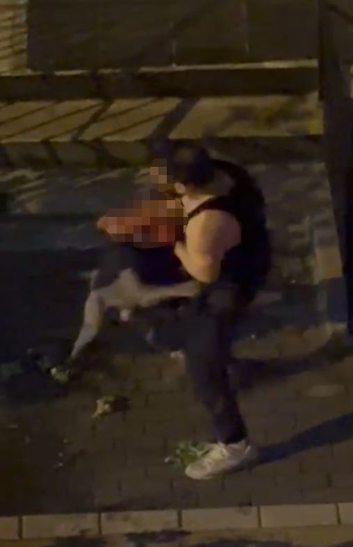 Pitbull Dehşeti! AW557358 02 - Marmara Bölge Gazetesi