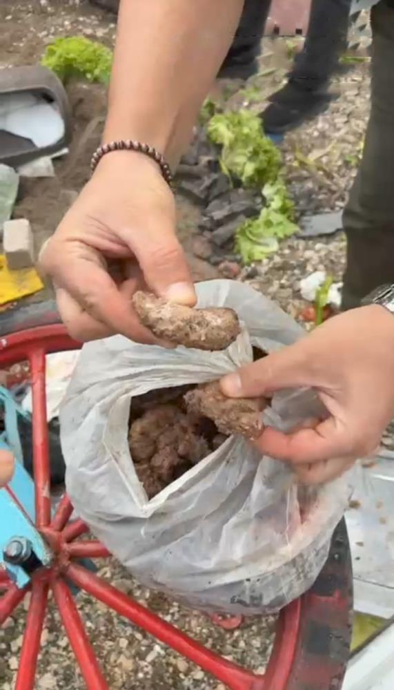 Stadyum’da Gıda Skandalı! AW557494 01 - Marmara Bölge Gazetesi