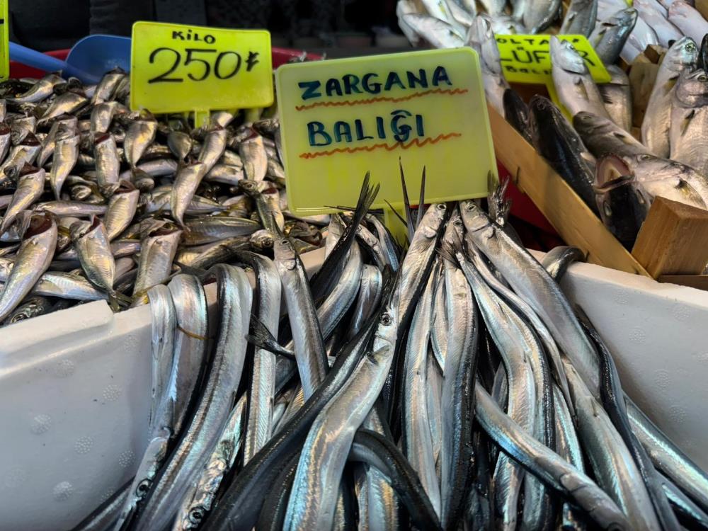 Balıkesir’in Bandırma ilçesinde 1 Eylül’de açılan 2025-2026 gırgırla av sezonu