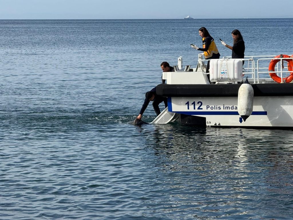 Balıkesir’de Denizde Erkek Cesedi Bulundu! AW566770 01 - Marmara Bölge Gazetesi