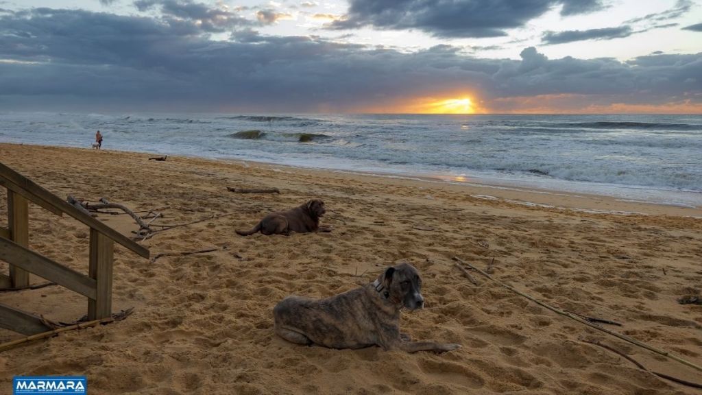 Adsiz tasarim 2025 05 06T175732.729 - Marmara Bölge Gazetesi