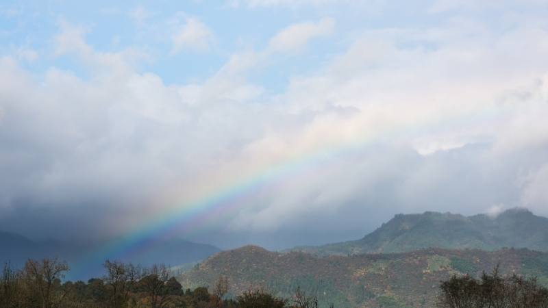 Yağmur sonrası temizlenen havası ve canlanan doğasıyla Balıkesir, hafta sonunu