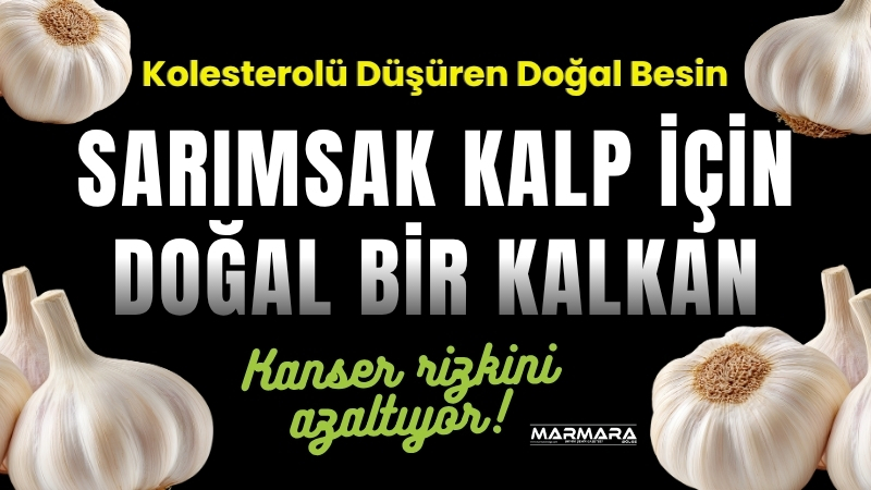 Sarımsak yalnızca yemeklere tat katmakla kalmıyor, kalp ve damar sağlığını