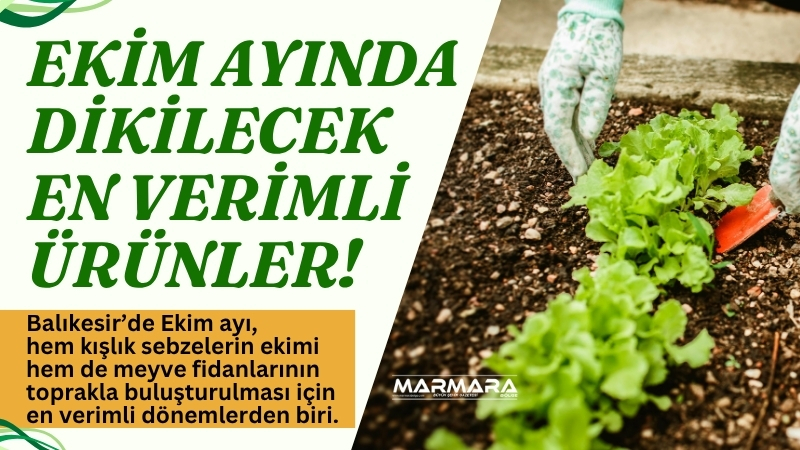 Balıkesir’de Ekim ayı, hem kışlık sebzelerin ekimi hem de meyve