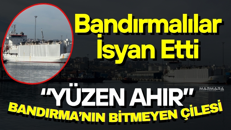 İspanya’dan 1.844 damızlık düve taşıyan canlı hayvan gemisinin Bandırma Çelebi