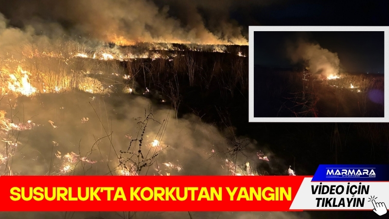 Balıkesir’in Susurluk ilçesinde bulunan Ümiteli Mahallesi mevkisinde çıkan arazi yangını,