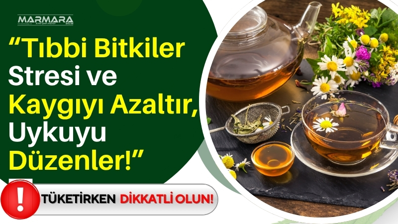 Prof. Dr. Canan Karatay, tıbbi bitkilerin stres ve uykusuzluk üzerindeki
