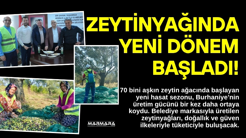 70 bini aşkın zeytin ağacında başlayan yeni hasat sezonu, Burhaniye’nin