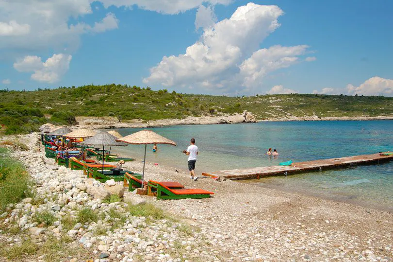 Demircili koy 42d3fc9f.jpeg - Marmara Bölge Gazetesi