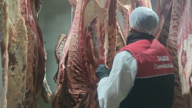 Balıkesir İl Tarım ve Orman Müdürlüğü ekipleri, hayvancılık işletmelerinde ve