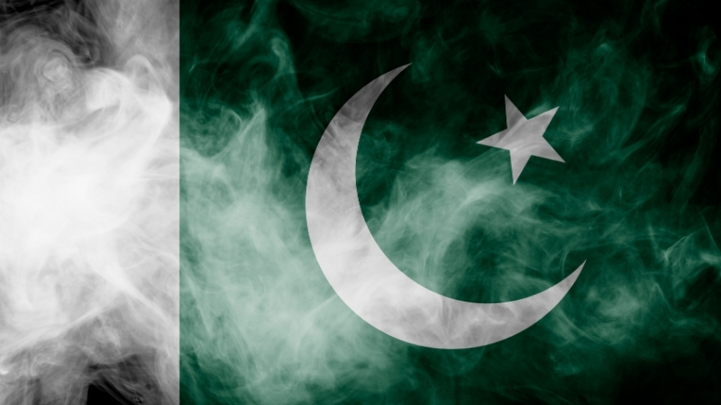 Evinize ve ofisinize Bu Cicekleri Alin Havanizi Temizleyin 2025 10 24T171107.260 - Marmara Bölge Gazetesi