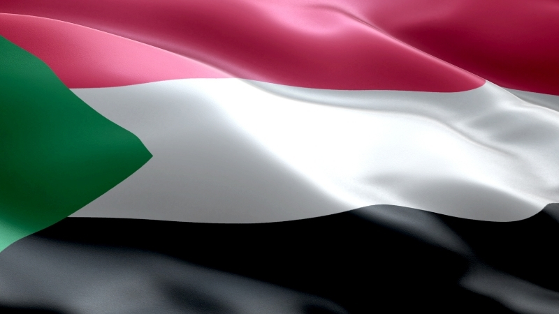 Evinize ve ofisinize Bu Cicekleri Alin Havanizi Temizleyin 2025 10 29T174033.438 - Marmara Bölge Gazetesi