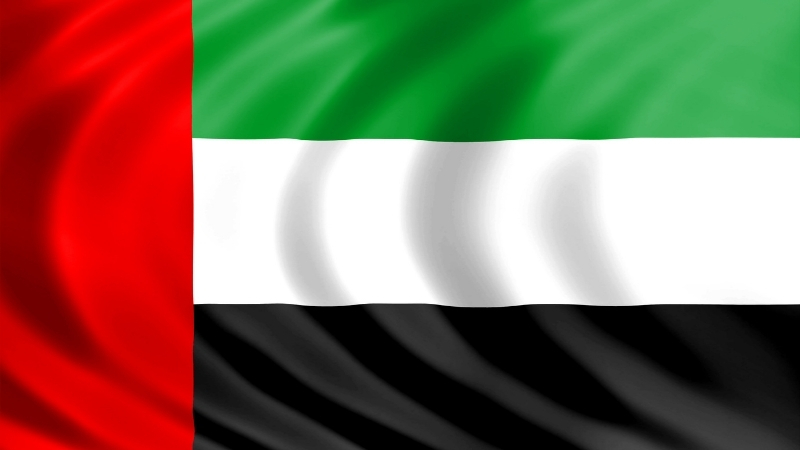 Evinize ve ofisinize Bu Cicekleri Alin Havanizi Temizleyin 2025 10 29T174532.139 - Marmara Bölge Gazetesi