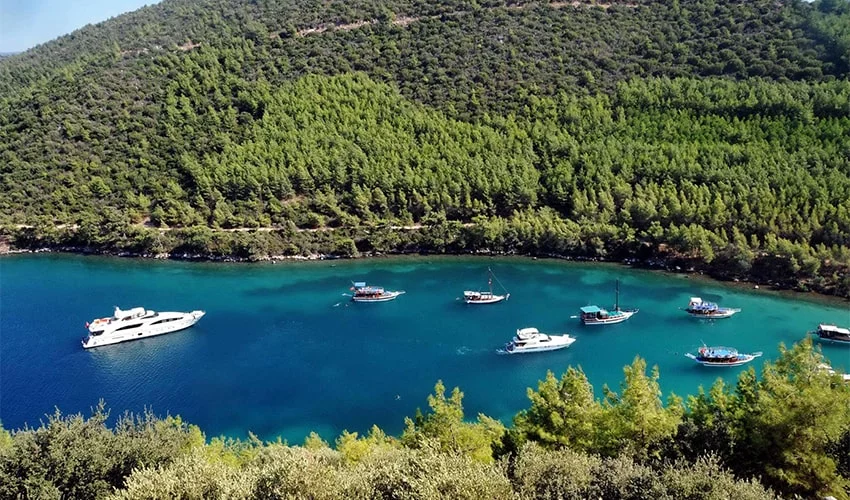 Kissebuku Koyu Denizi - Marmara Bölge Gazetesi