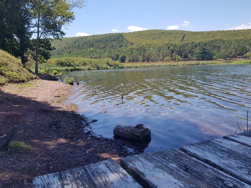 Poyrazlar Golu Tabiat Parki Kamp Alani 5 - Marmara Bölge Gazetesi