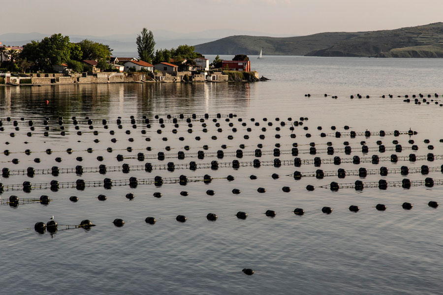 SDKapidag0001 - Marmara Bölge Gazetesi