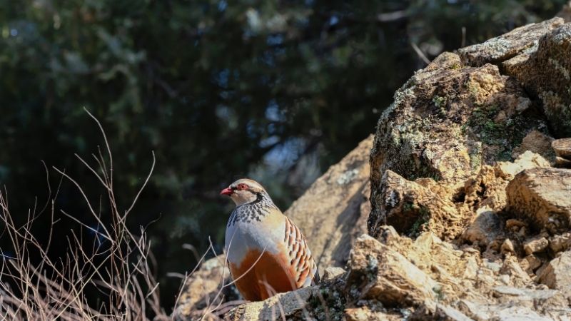 SILA KUSUMUN SABLONU 2025 10 03T174654.056 - Marmara Bölge Gazetesi