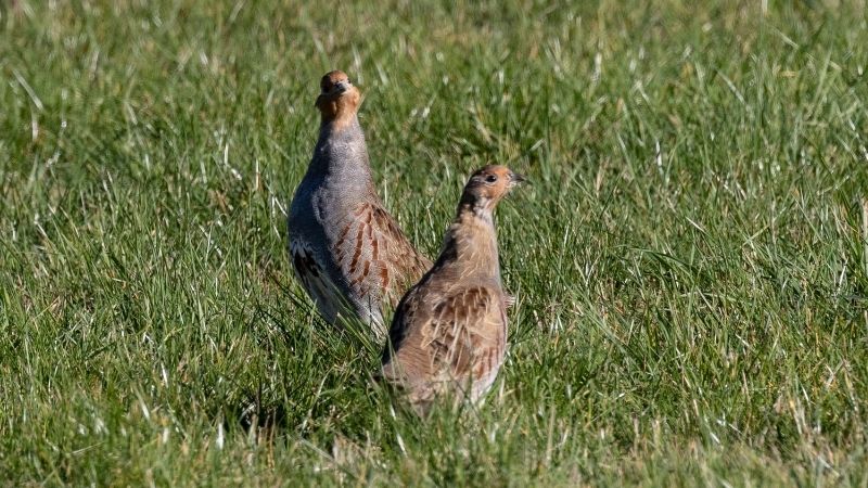 SILA KUSUMUN SABLONU 2025 10 03T184207.522 - Marmara Bölge Gazetesi