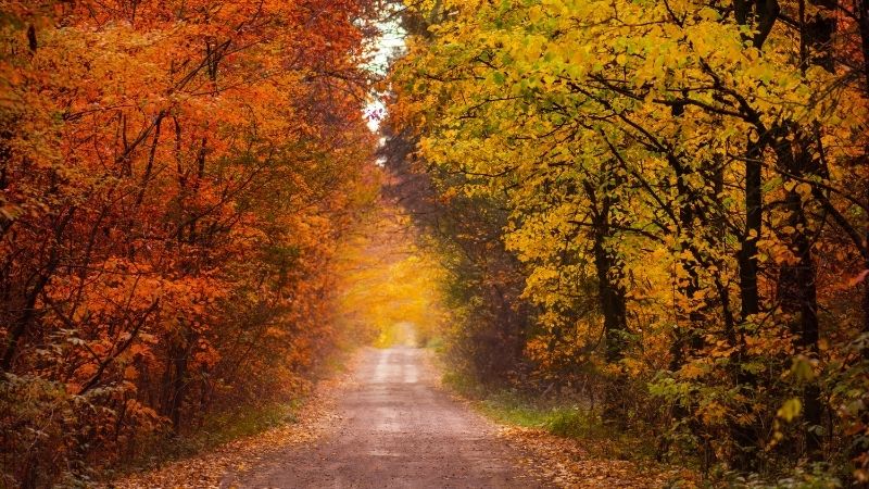 Balıkesir, doğal güzelliklerinin yanı sıra termal kaynaklarıyla da öne çıkıyor.