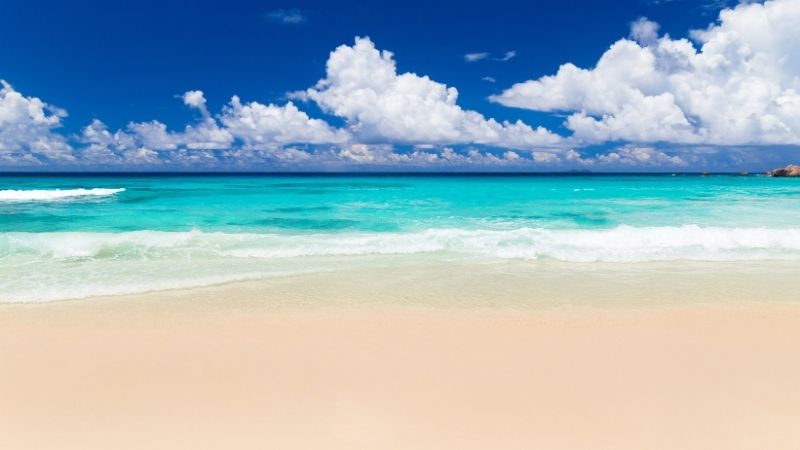 Balıkesir’in Ayvalık ilçesinde yer alan doğal güzellikleriyle ünlü sahiller, tatilcilerin