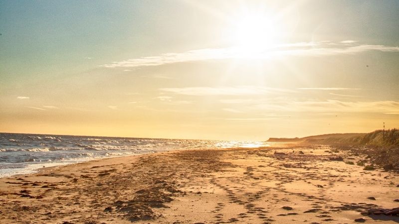Balıkesir’in Marmara Denizi’ne açılan incisi Avşa Adası, tertemiz denizi ve