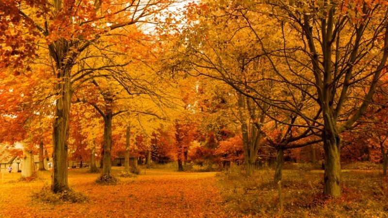 Ege’nin incisi Edremit, yaz aylarında denizi ve plajlarıyla öne çıkarken,