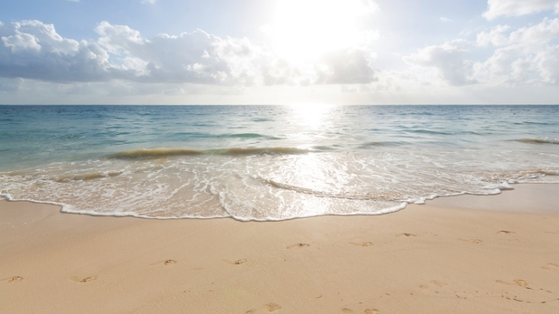 İzmir’in Dikili ilçesine bağlı Bademli Köyü sınırlarında yer alan Pissa