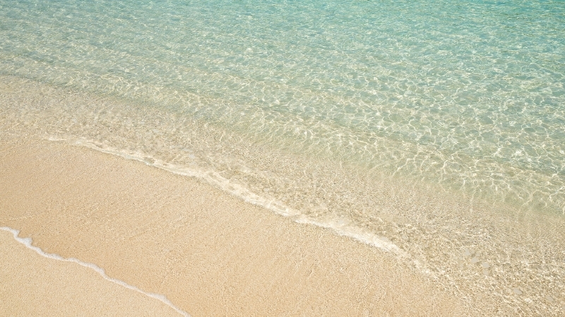 İzmir’in Seferihisar ilçesinde yer alan Pamuk Koyu, kalabalıktan uzak doğası,