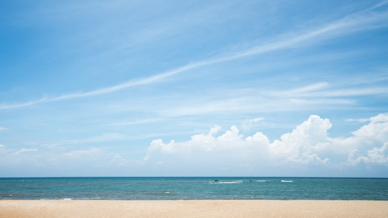 Foça’nın kuzeyinde yer alan Mersinaki Koyu, kalabalıktan uzak, doğayla baş