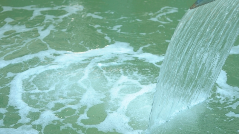 Edremit’te Mutlaka Görmeniz Gereken Yerler! SILA KUSUMUN SABLONU 2025 10 30T143424.179 - Marmara Bölge Gazetesi