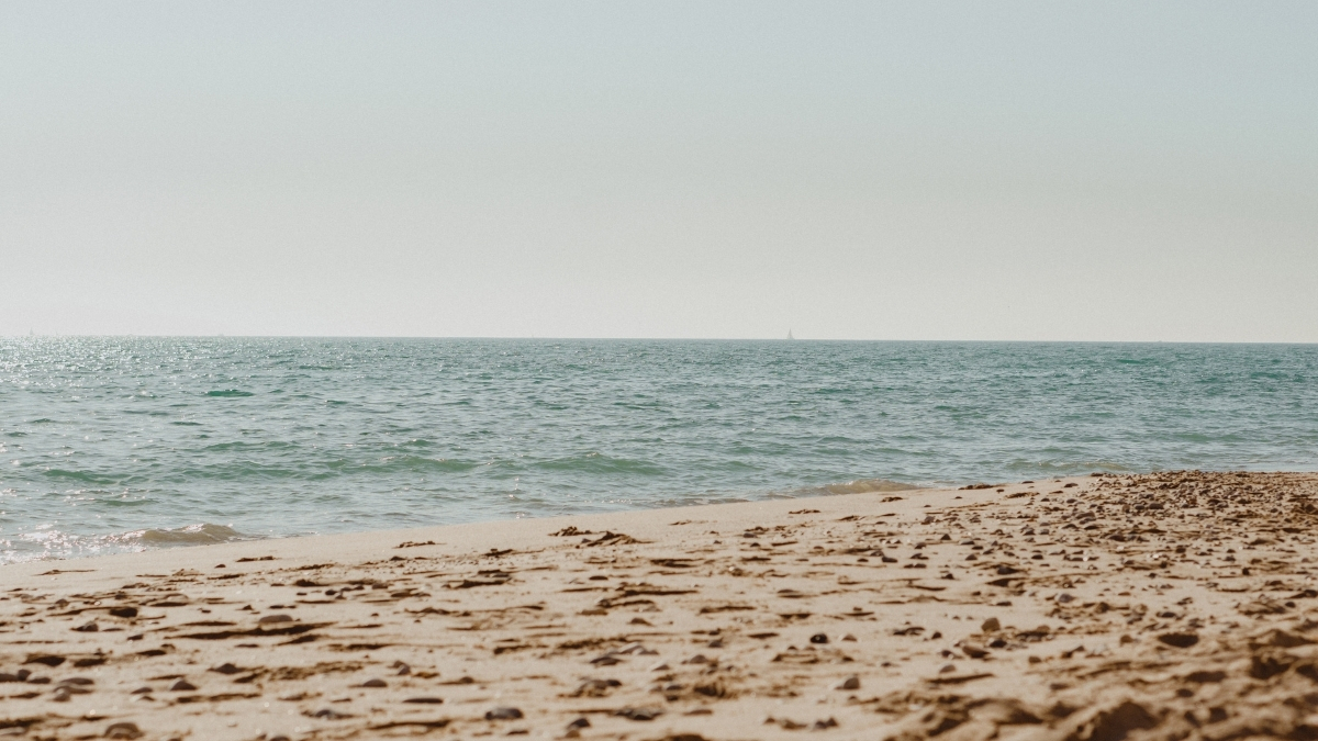 Tasarim 8 1 - Marmara Bölge Gazetesi