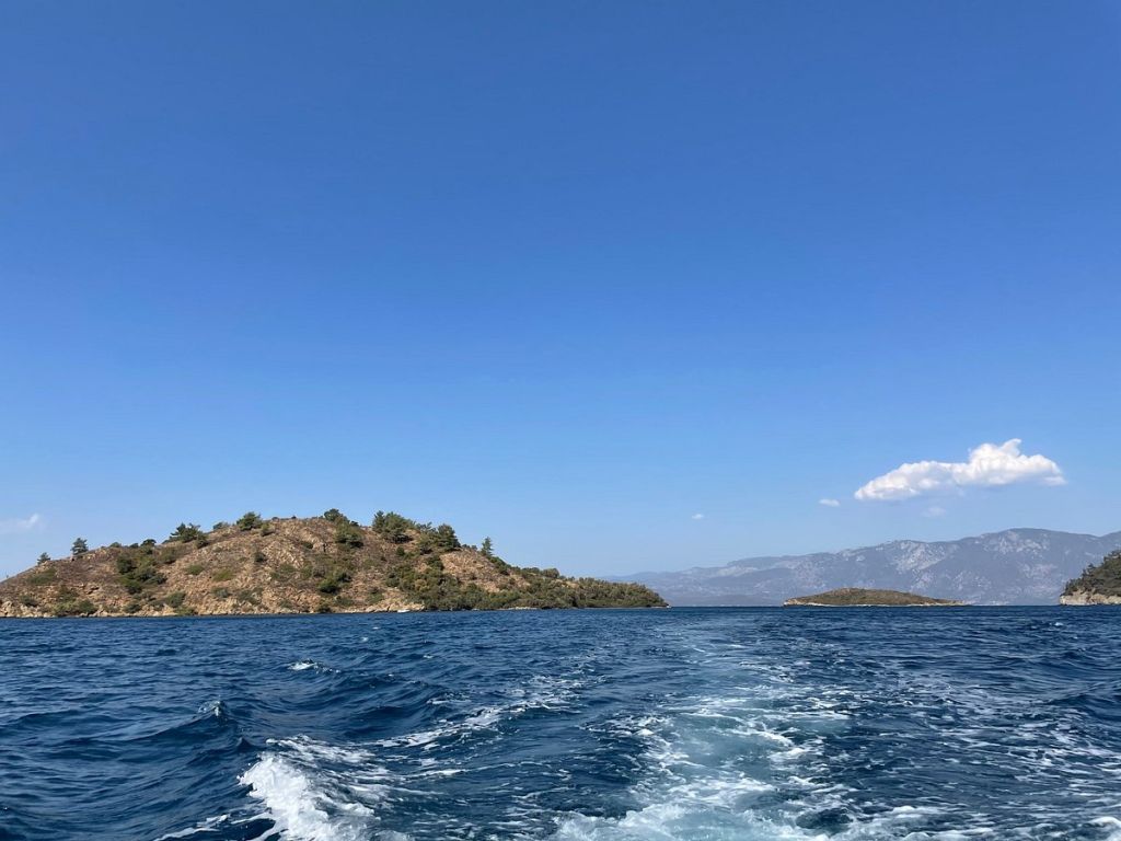 asi koyu - Marmara Bölge Gazetesi